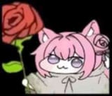 rose