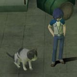 persona 3 cats