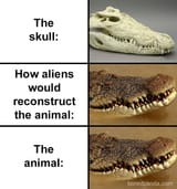 1713074768976121