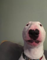 1554621094743