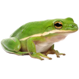 1740776690407314
