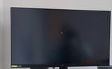 Bullshit