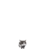 2e7