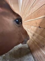 1735491722415927