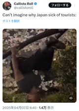 害人8
