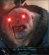 bruz