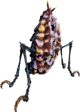 Q&#039;ronar_Shellback_png