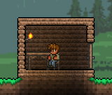 Valid_House_Door