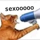 1733787140678544