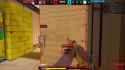 DP Door Hide_thumb.jpg