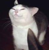 1723003497968184