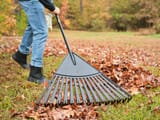 rake