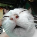 1607742777373