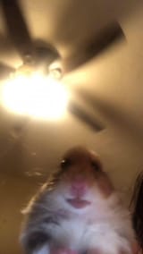 1550367713751