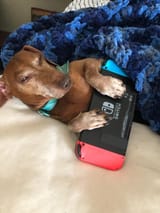 Nintendos