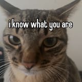 1739753968446323