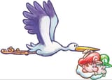 stork