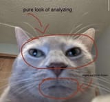 analyzing