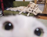 1749045728909609