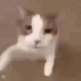 1722820871341449