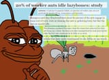 antz