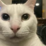 1726873837720733