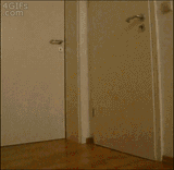 Open the door