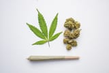 weed