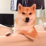 1724828948903778