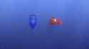 Finding Nemo_thumb.jpg