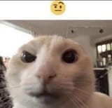 1746949695642874
