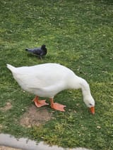 20230523_123145