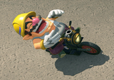 WarioRailWorker