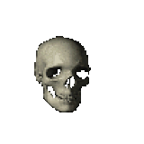 SkullSpin