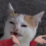 1545270486527