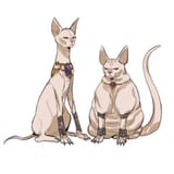 catskin duo