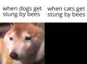 801235623235_thumb.jpg