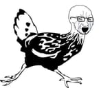 soi