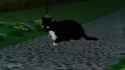 Uni the Cat in Super Mario Galaxy[sound=https%3A%2F%2Ffiles.catbox.moe%2Fav3e8y.mp3]_thumb.jpg