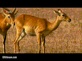 1607976438159