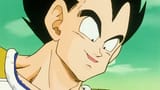 Vegeta the prince of all rapists