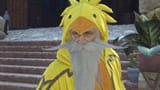chocobo_sage