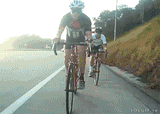 giphy-3133550111