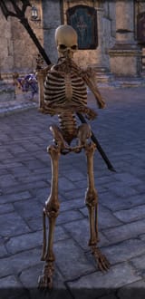 Elder_Scrolls_Online