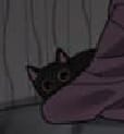 peeker