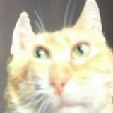 1748385345279016
