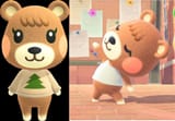 maple
