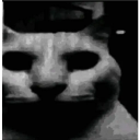 1750526266068168