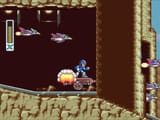 armadillo008-4217635489