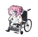 84574664